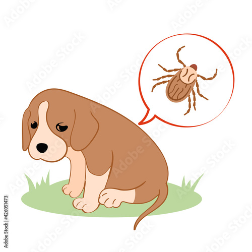 Vector illustration puppy dog feels bad from a tick bite. Tick season, dog grooming.