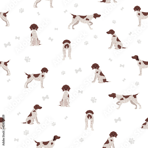 German shorthaired pointer seamless pattern. Different poses, coat colors set.