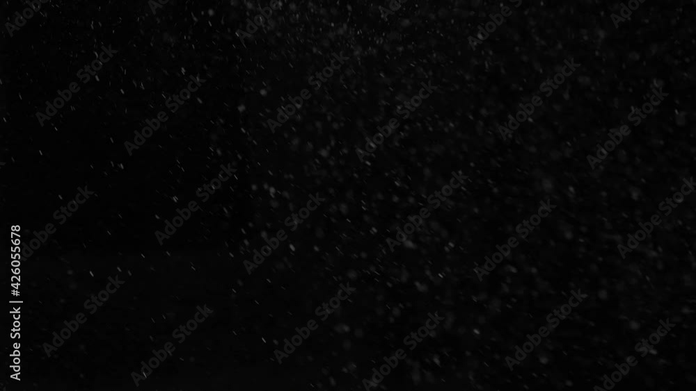 Natural Organic Dust Particles Floating On Black Background. Defocused white powder flying on dark. Natural Organic Dust Particles Floating On Black Background. Defocused white powder flying on dark.