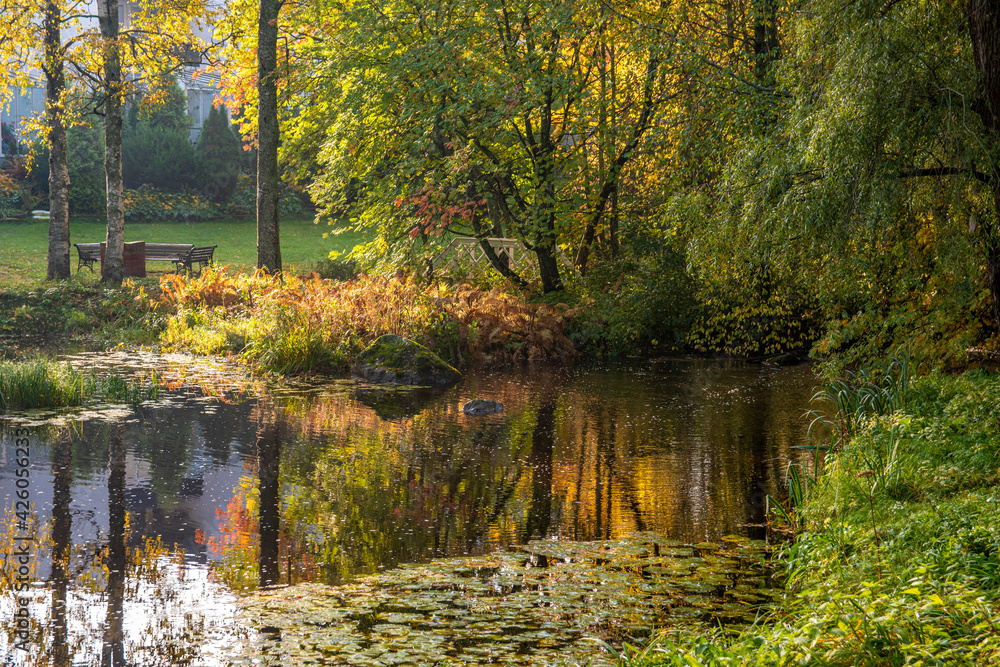 Fototapeta premium Autumn park landscape