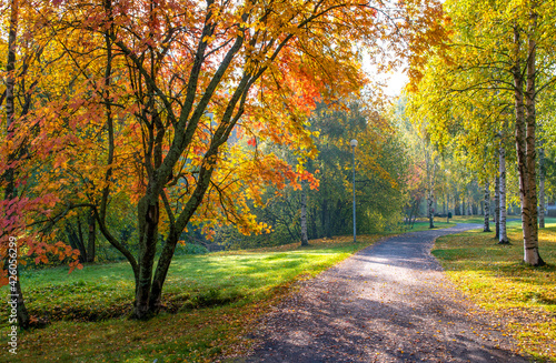 Autumn park landscape