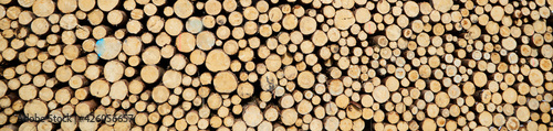 Cut wood on a pile of wood. Probably spruce wood. Researchers propose building new houses primarily from wood composites. In this way  cities could be transformed into CO2 reservoirs.