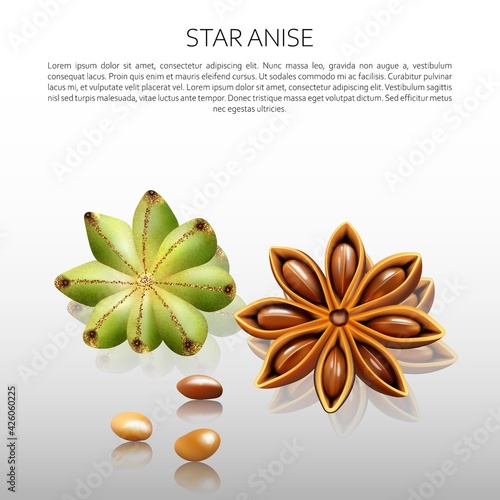 Culinary spices. Star anise. Abstract vector illustration of a star anise on a light background with reflection. A blank for creativity.