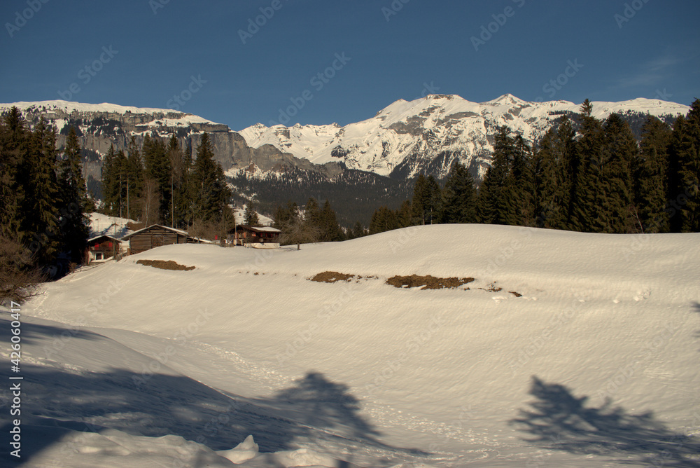 Snow covered alps near Flims in Switzerland 20.2.2021