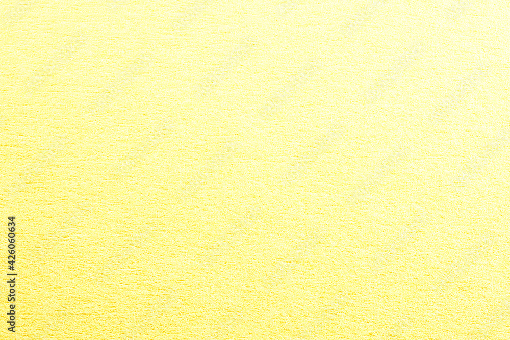 yellow background, photographed in the studio