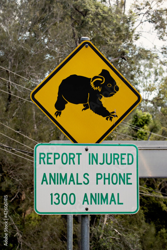 Photography Koala Crossing Sign Warning to Be alert for koalas and other wildlife crossing the road