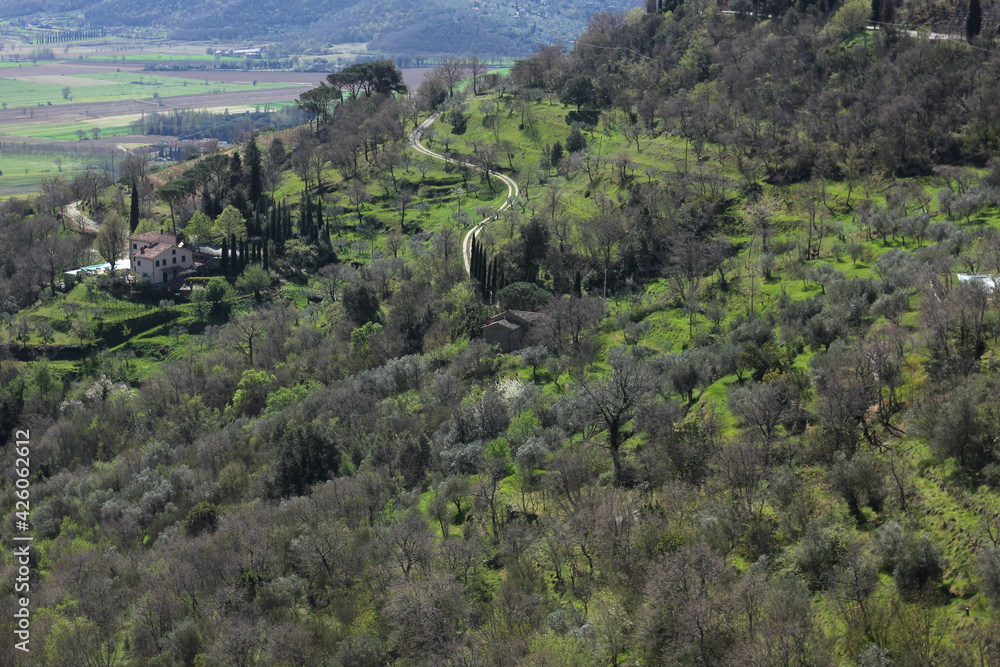 Obraz premium Sunny Tuscany landscape in spring