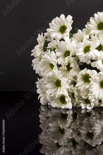 Beautiful bouquet of white flowers of a chrysanthemum on black background.
