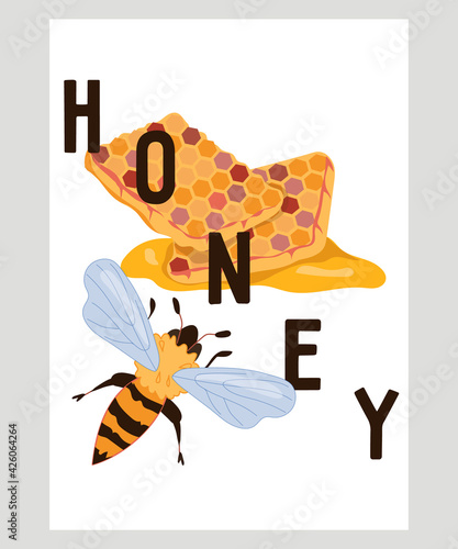 Honey banner or card template with bee and inscription, flat vector illustration. Honeycomb with bee. Honey producing, beekeeping and apiary farm products label or poster.