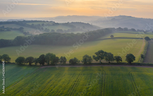 Aerial vista of rolling farmland in summer time, Devon, England, United Kingdom photo