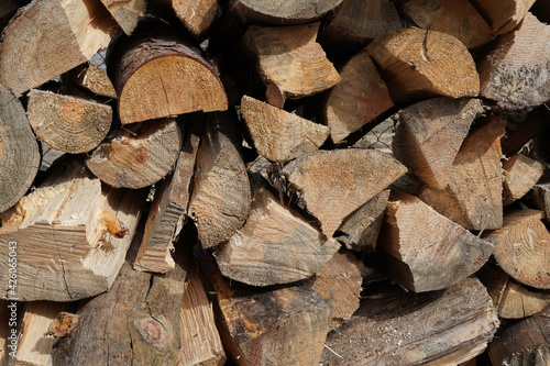 stack of cut pine tree logs, front view image.