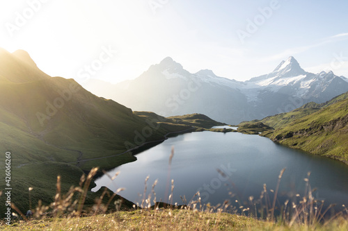 Green meadows surrounding Bachalpsee lake lit by sunrise, Grindelwald, Bernese Oberland, Bern Canton, Switzerland