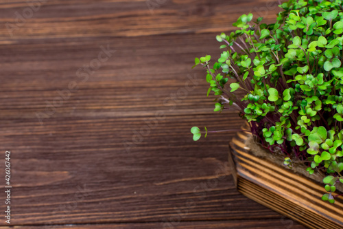 Homemade red cabbage microgreens on a cutting board on a wooden table. The concept of proper vegan food. View from above. Place for an inscription.