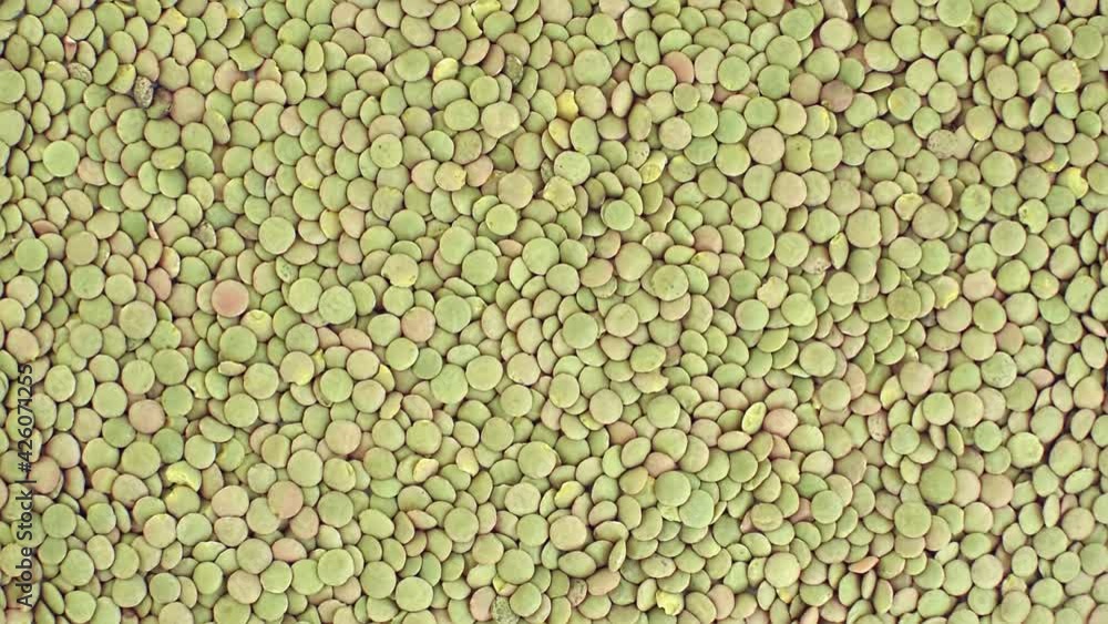 Lentil grains pours down. Groats dry brown lentils. Organic indian food. Healthy eating, vegetarian uncooked cereal. Agricultural plant harvest. Vegan meal. Lentil grains pours down. Groats dry brown lentils. Organic indian food. Healthy eating, vegetarian uncooked cereal. Agricultural plant harvest. Vegan meal.
