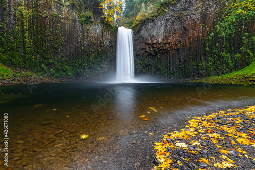 Abiqua Falls in autumn, Scotts Mills, Marion county, Oregon, United States of America