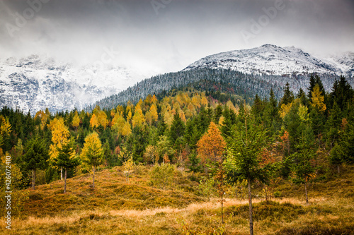 Rodnei Mountains in early winter, Carpathians, Romania photo