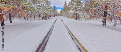 The road leading to Kaibab Lake in the Kaibab National Forest near Williams, Arizona, United States of America