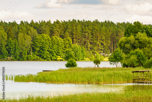Fototapeta Naklejka Na Ścianę i Meble -  Lake with green reeds on Masuria, Poland