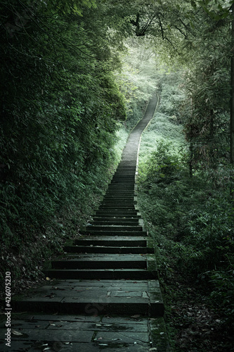 The endless stairs to ascend Mount Emei, Emeishan, Sichuan, China photo