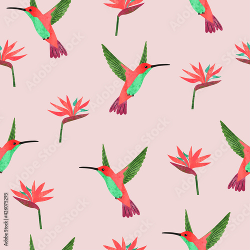 Seamless hummingbirds and Strelitzia flowers pattern. Vector summer tropical background.