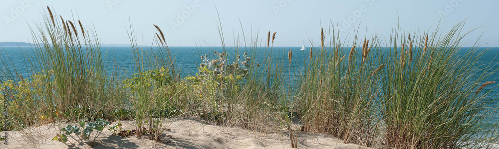 Dunes des Dunes des