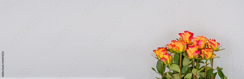 Fototapeta premium Rose flowers on a banner background