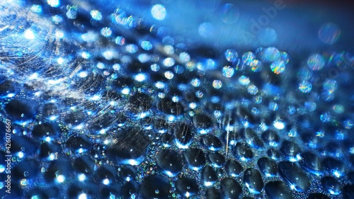 blue water drops, vertical aspect ratio, blue bokeh light effect, water blurred highlights, abstract image background color