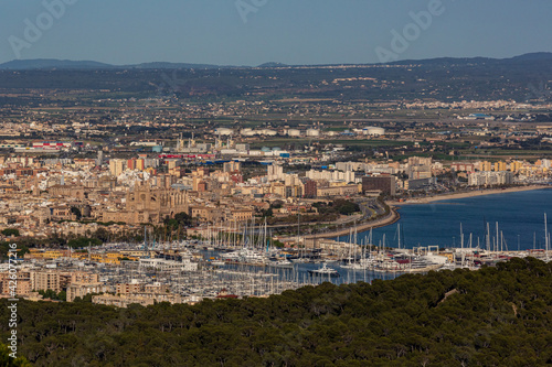 Fototapeta Naklejka Na Ścianę i Meble -  cityscape, landscape of Palma de Mallorca in springtime, mallorca,spain