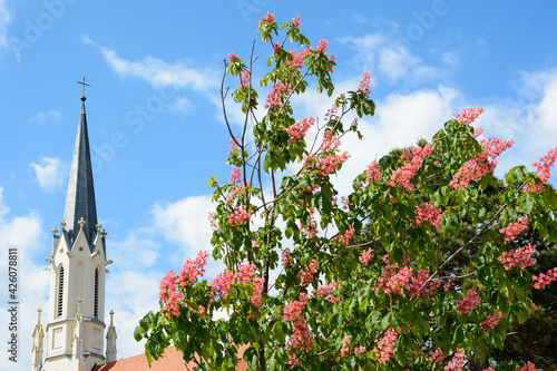 Vienna, Austria - July 25, 2019: View to the church from Schlosspark