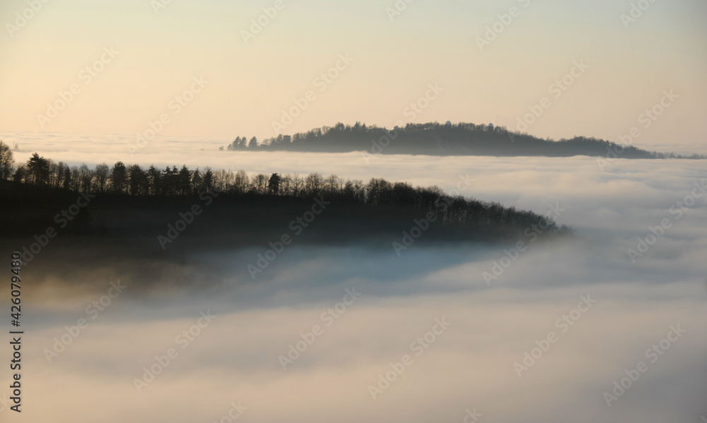 Fototapeta premium Morning in winter with the sun that at dawn lights up the wheat fields and the dew