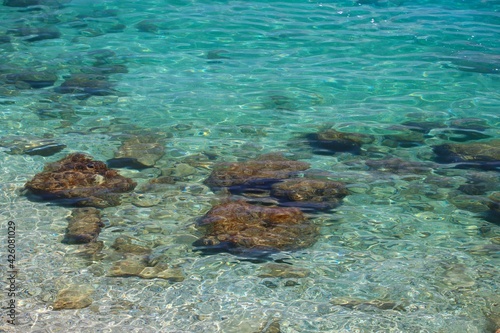 Fototapeta Naklejka Na Ścianę i Meble -  Turquoise water background - Adriatic Sea