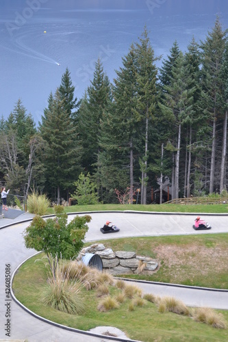 Queenstown land luge track forest
