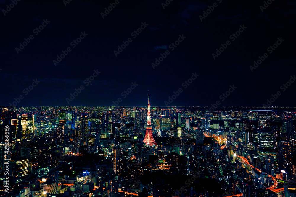 Obraz premium 東京全体の都会俯瞰。東京タワーなどのビル街