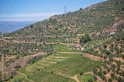 Aerial typical landscape of the highlands in the north of Portugal, levels for agriculture of vineyards, olive tree groves