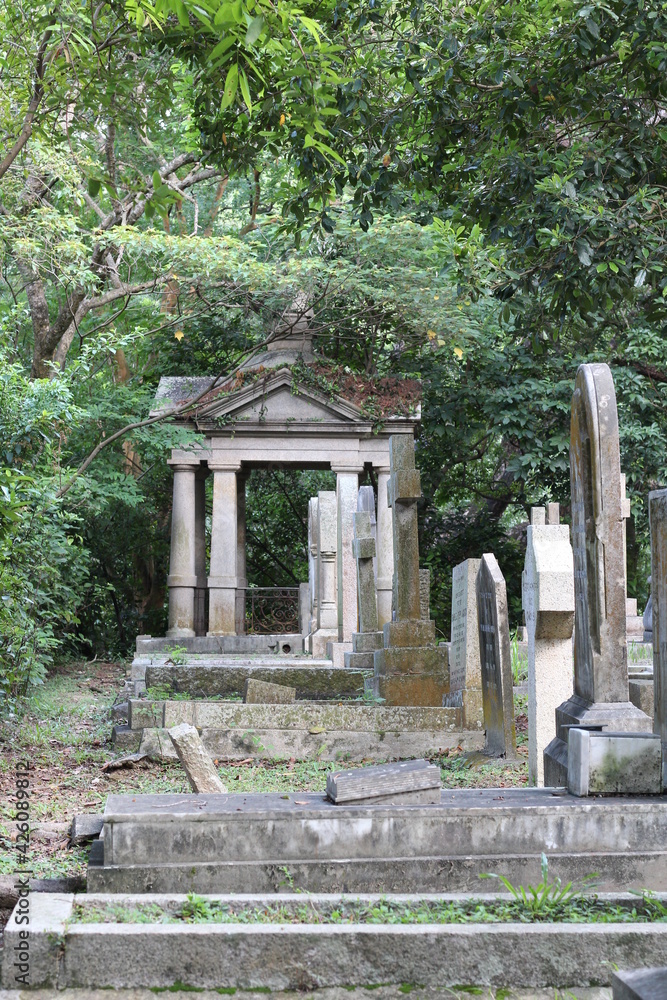 cemetery in the woods