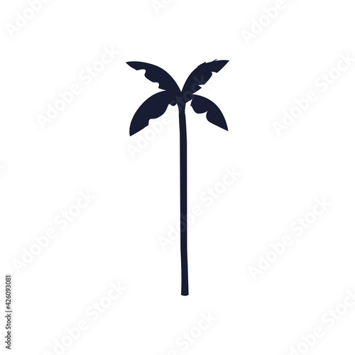 palm tree silhouette