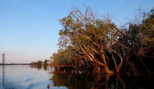 Zambia