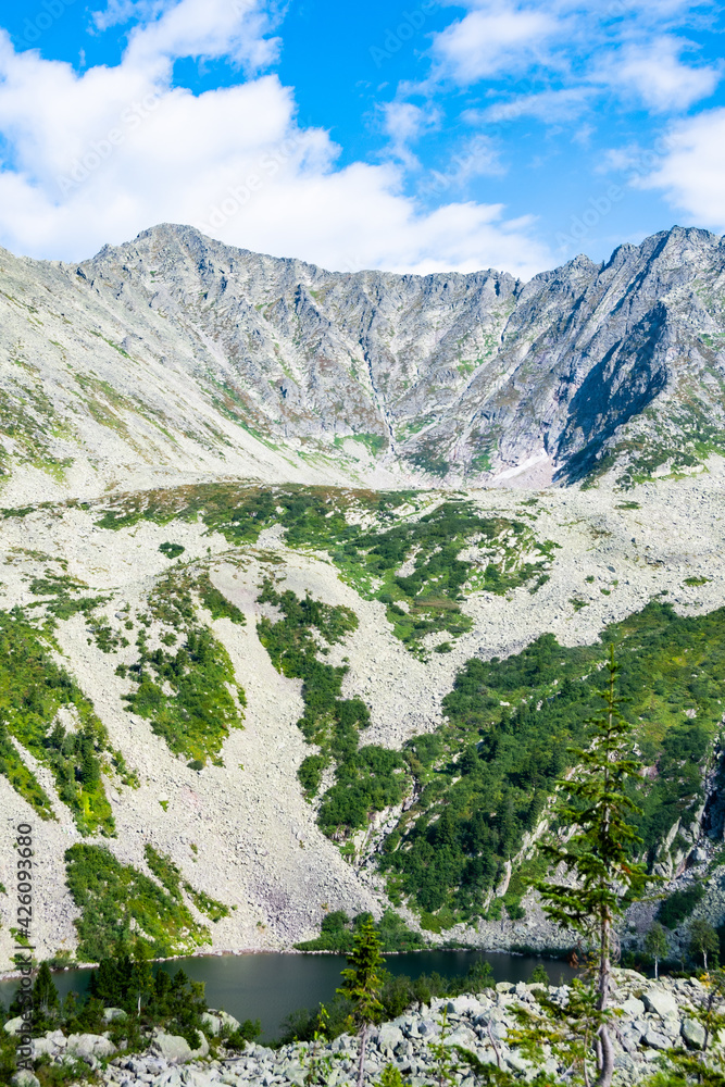 Fototapeta premium Mountain valley with stone ridge and trees on horizon. Travel through wild rocks in summer. Mountain landscape against blue sky on sunny day