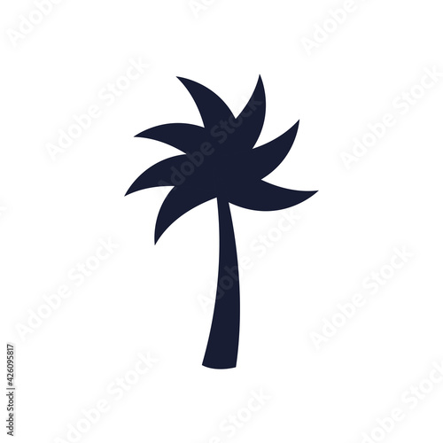Summer palm tree