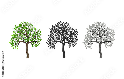 tree vector image with different colors