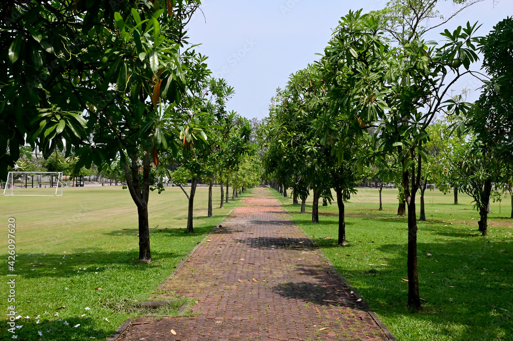 Garden walkways covered with stone slabs, nature background.