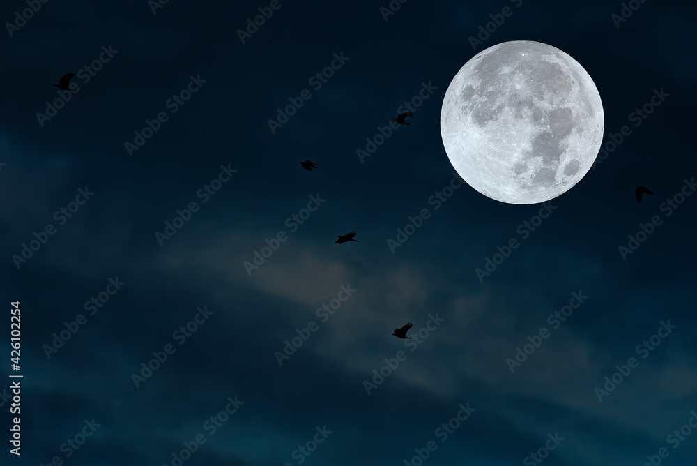 Full moon on the sky with small birds silhouette.