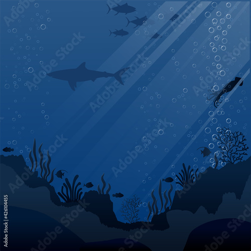 ill of sea life and coral on seabed