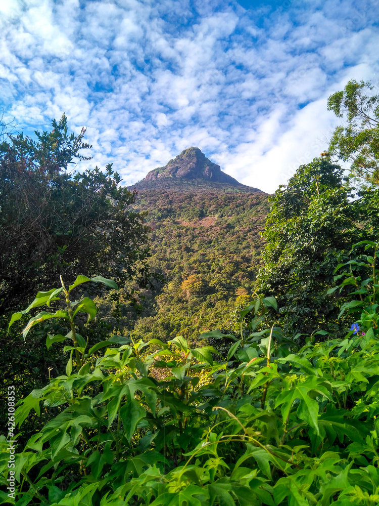Fototapeta premium Hiking of Adams peak or mountain in south east asia, Sri Lanka.