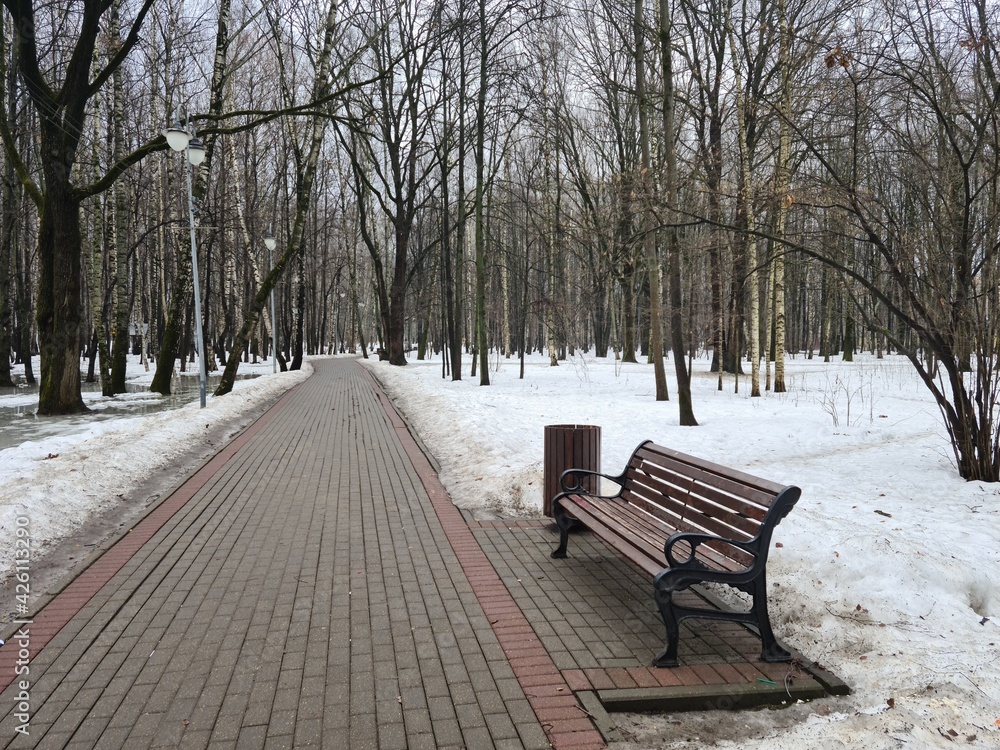 Spring winter landscape in the park