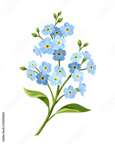 Vector blue forget-me-not flowers isolated on a white background.