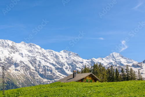 The Swiss Alps at Murren  Switzerland. Jungfrau Region. The valley of Lauterbrunnen from Interlaken.