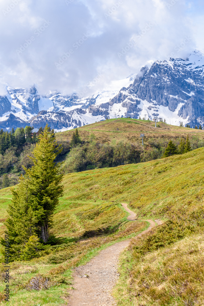 Crossing the Alps. Hiking trail in the Alps.