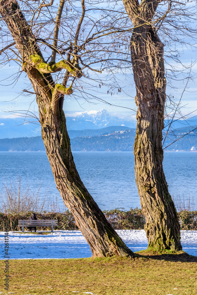 Fantastic view over ocean, yacht and snow mountains in Vancouver, Canada. Fantastic view over ocean, yacht and snow mountains in Vancouver, Canada.