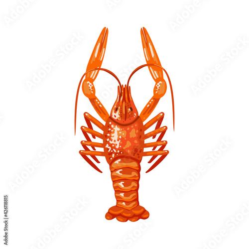 Red crustacean. Animal crawfish. Vector object on a white background.